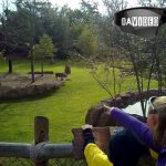 Cincinnati Zoo Photos